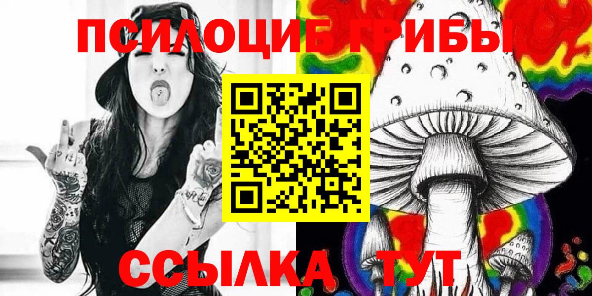 Галлюциногенные грибы Cubensis Звенигород