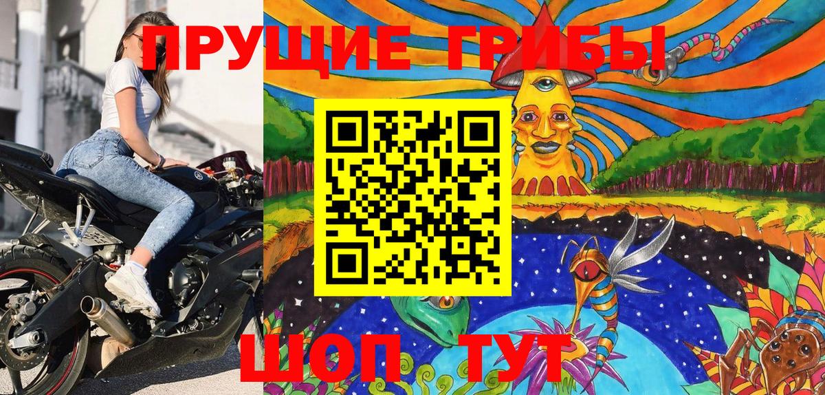 Псилоцибиновые грибы мицелий  Вход с VPN  Звенигород 